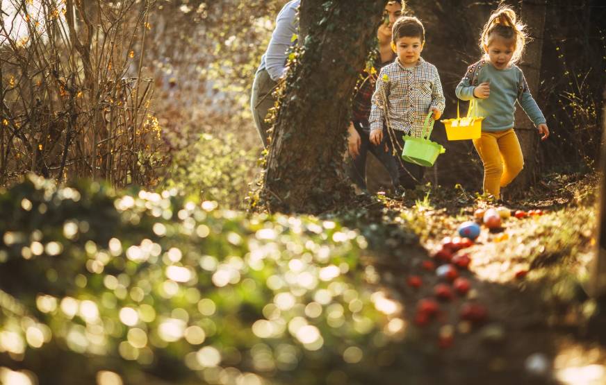 easter egg hunt - Copy